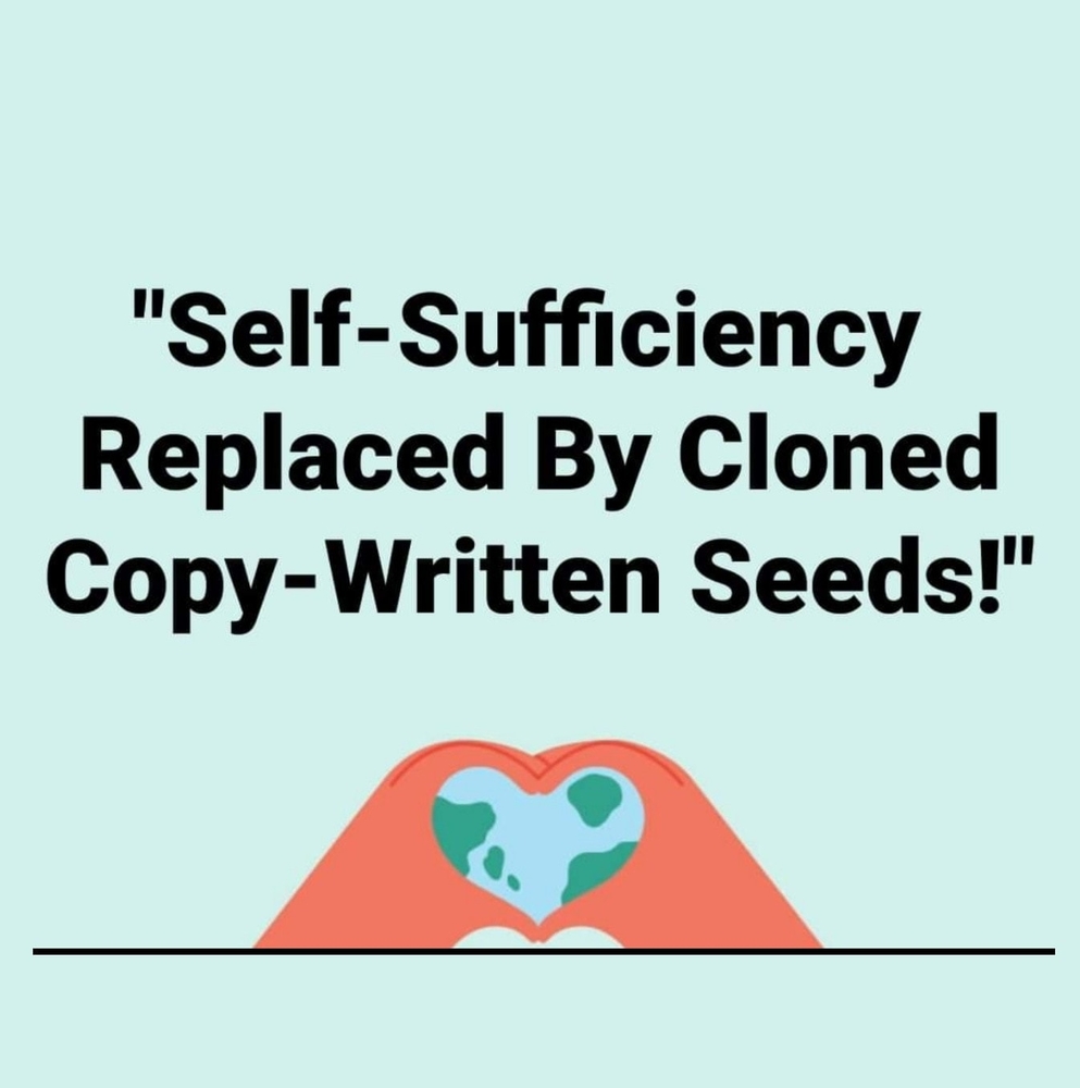 Meet your Posher, Art